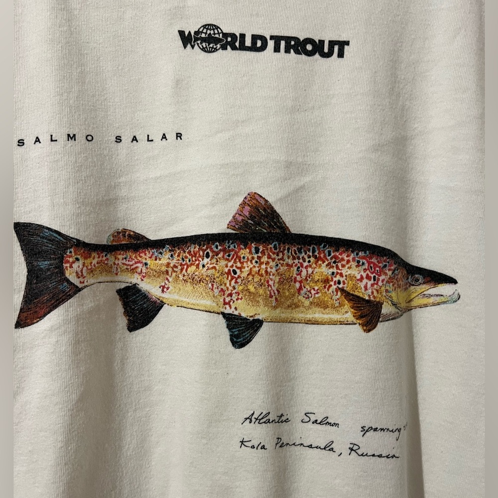 Rare Patagonia Shirt Vintage Collectible Atlantic Salmon Spawning Colors Russia - Picture 4 of 8